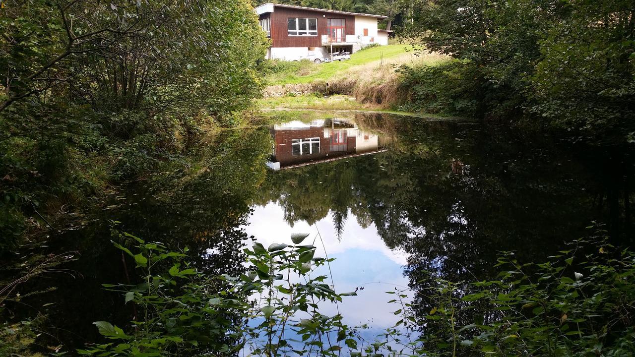 Villa Wodolenka Hrádek Exterior foto